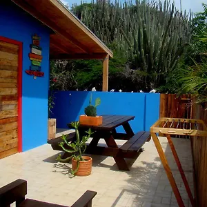 Hopi Cadushi , Santa Cruz Aruba